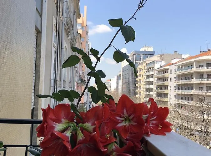 Imperador מלון 2*