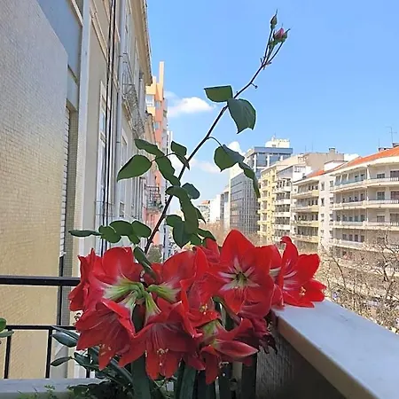 Imperador 2*