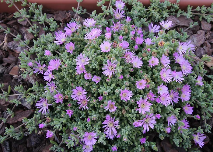 Imperador Otel Lisboa